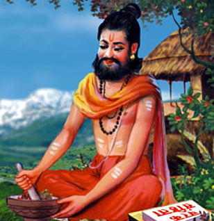 Image Gallery